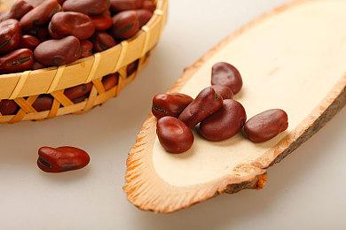 PvEvP生存射击游戏Scavengers推出EA后重大更新“凛冬之怒”